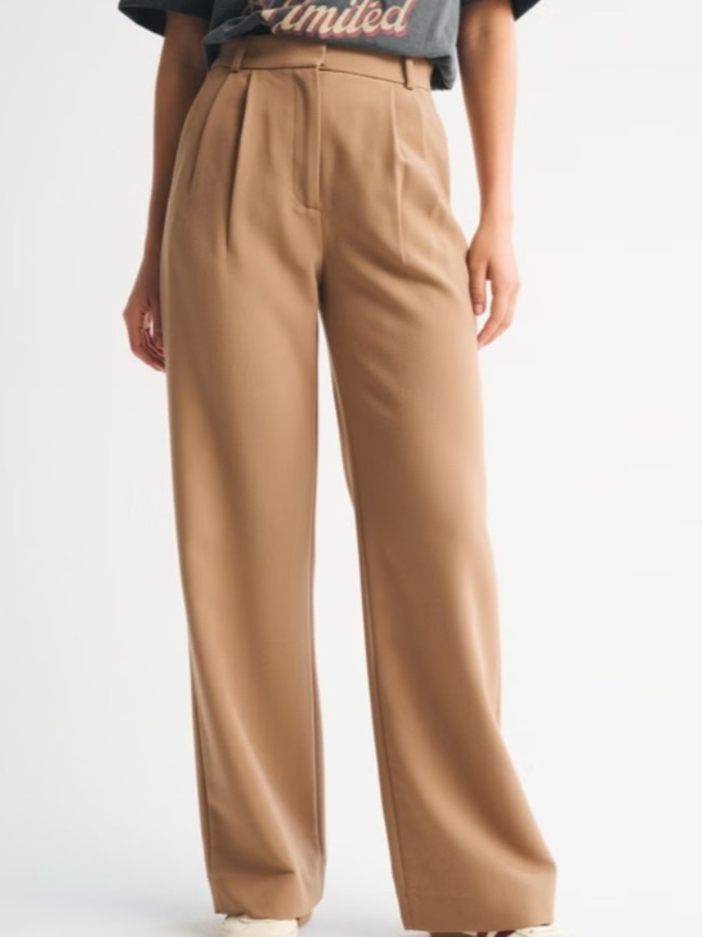 Abercrombie & Fitch Sloane Tailored Wide Leg Pant